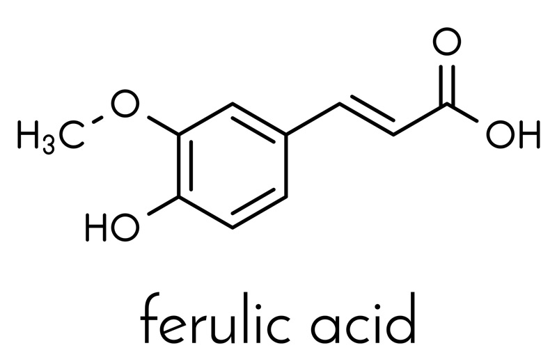 Ferulic Acid là gì?