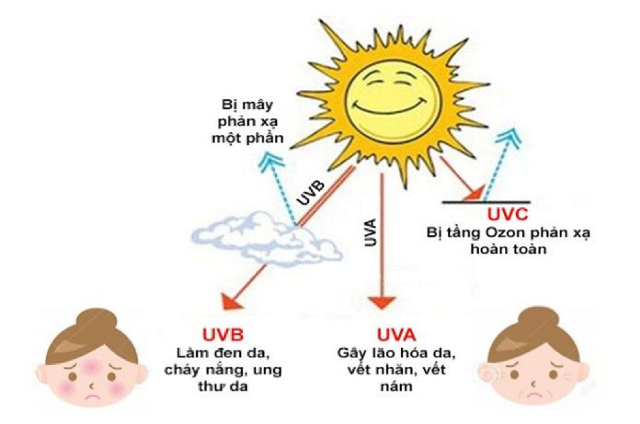 Tác hại của tia UV